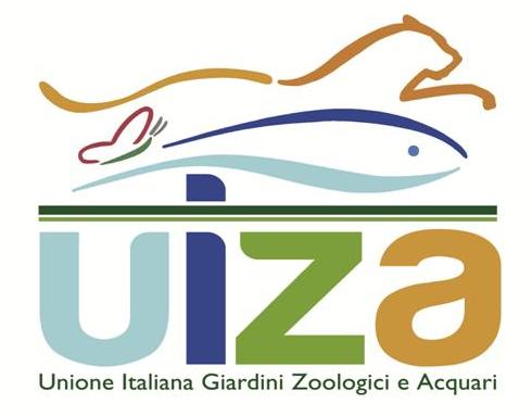 UIZA