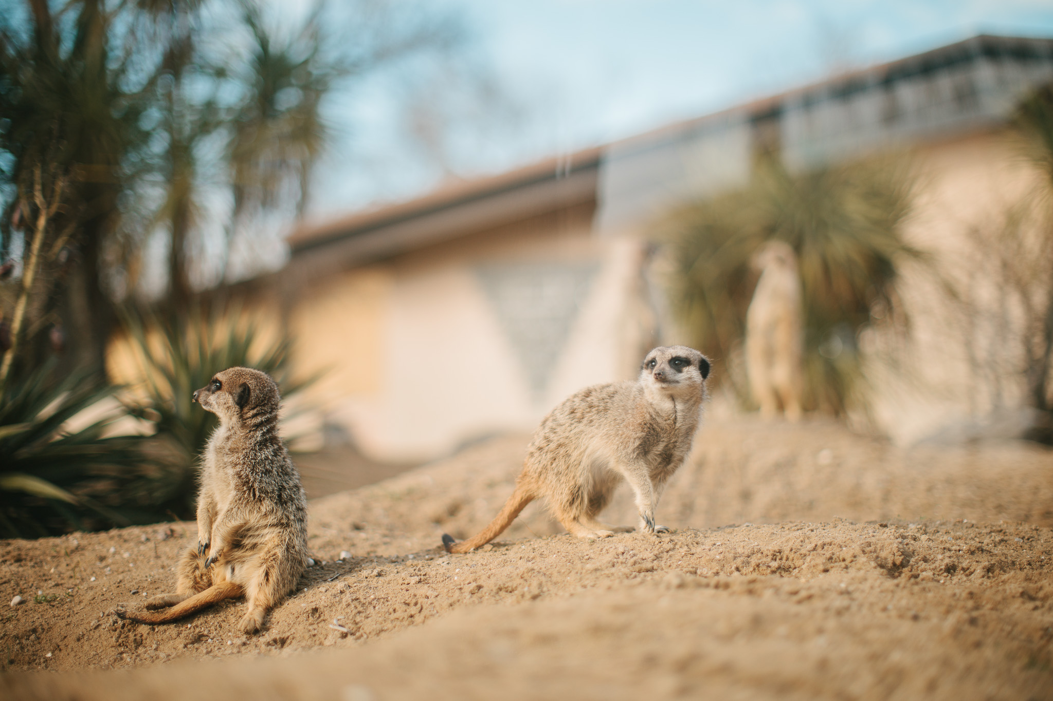 /uploads/hero/0129_ParcoZoo-18.jpg