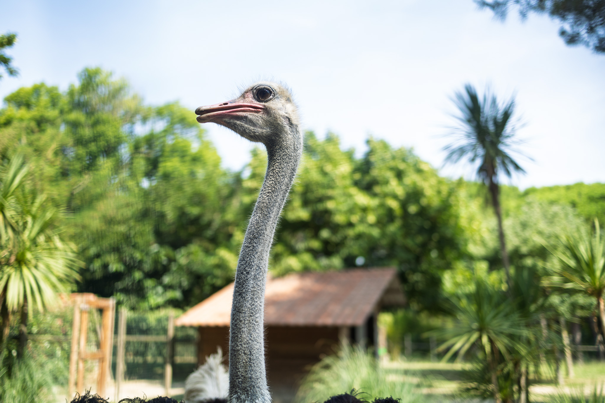 /uploads/hero/0623_ParcoZooPuntaVerde-132.jpg