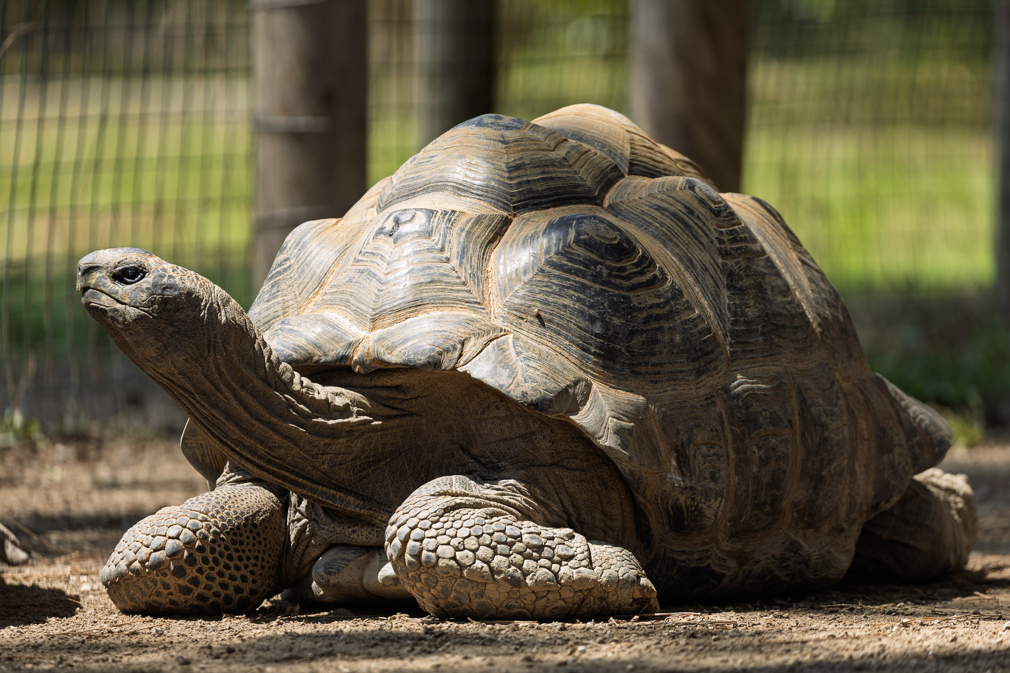 /uploads/hero/0623_ParcoZooPuntaVerde-184.jpg